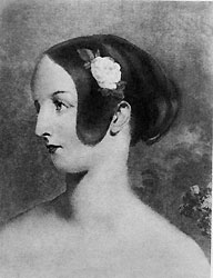 ���� ������