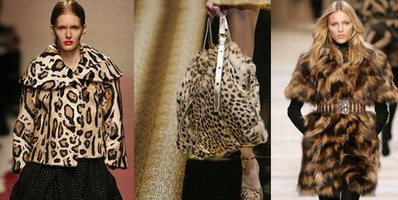 ������ ���� ���� 2007 2008