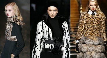 ������ ���� ���� 2007 2008