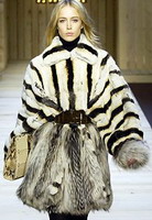 ������ ���� ���� 2007 2008