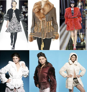 ������ ��������� 2007-2008