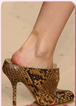 �������-������ ����� 2008