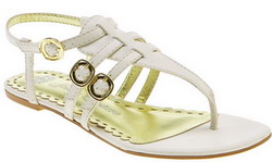 ������� ���� 2008