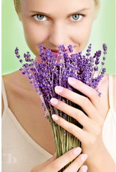 ���� �� ����� �����