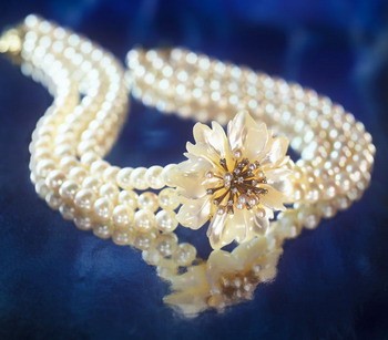 ��� ���������� � ��������