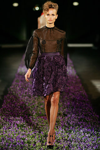 ���� ���� ���� ������ � ����������, ������ �����, ����� ���������� �� ������� �����