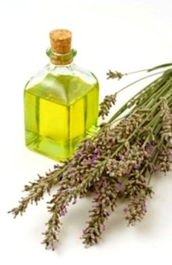 ������� ����� ������������ ��� ��� ������� ��������� ��������� �����������, ��� � ��� �� ������������