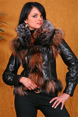 �������� ������