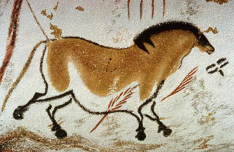 ���� www.flickr.com 