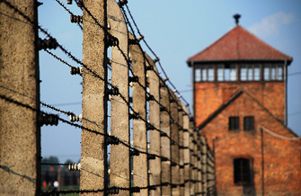 ���� www.flickr.com